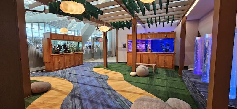 Designing Inclusive Classroom Spaces: The Role of Carpets in Sensory Rooms