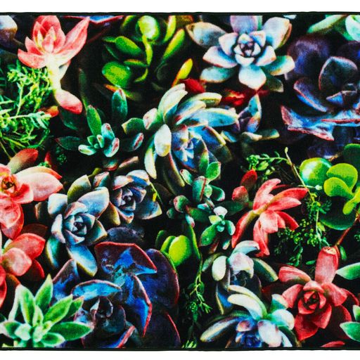 Close-up of Succulent Garden Rug Design