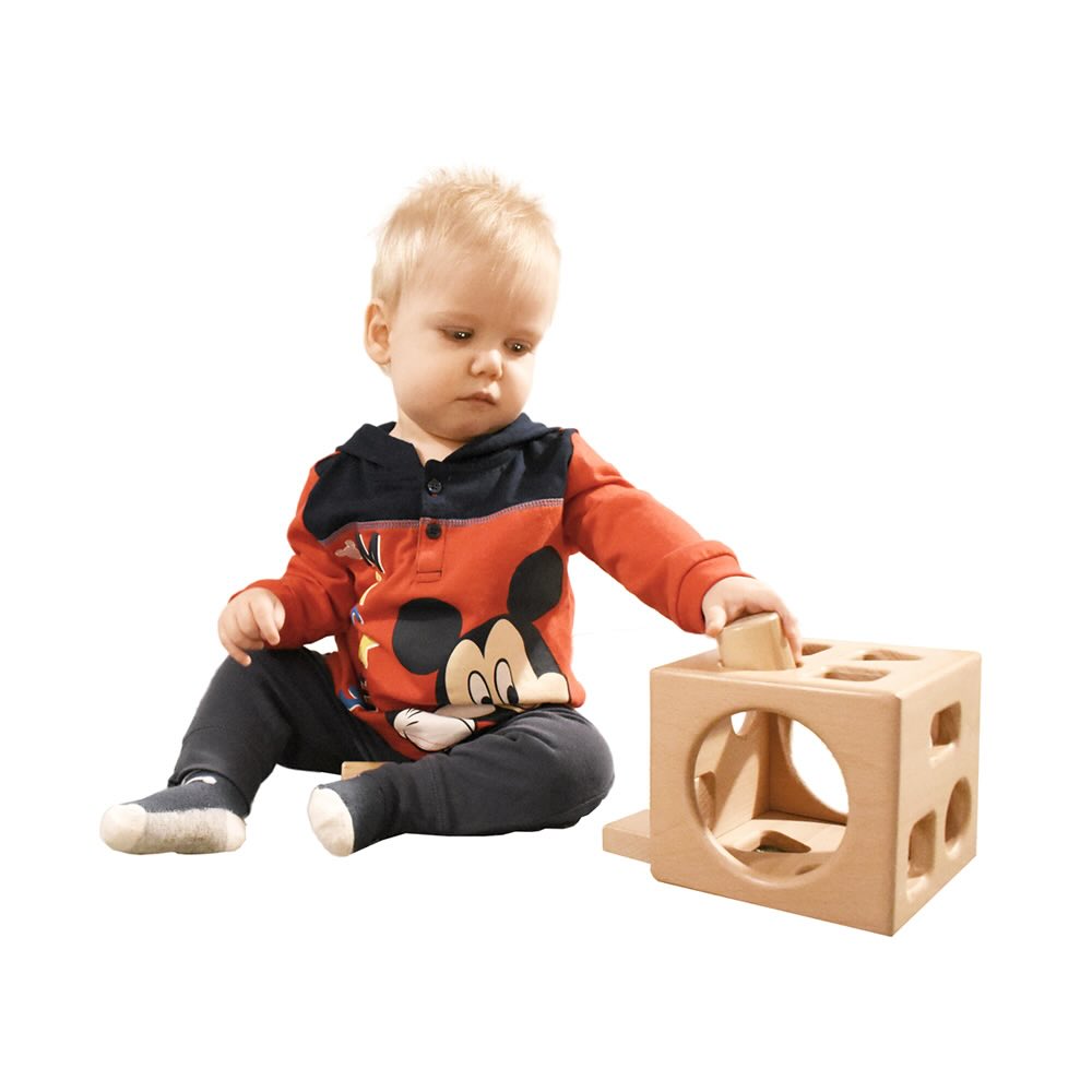 Montessori Shape Sorter - Educational Toy